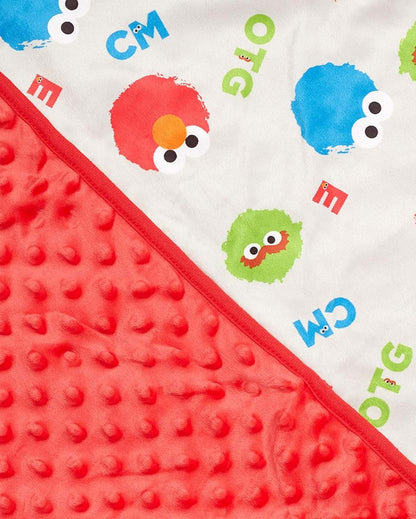 Plush Polar Fleece Baby Unisex Blanket (Red/Blue/Green)