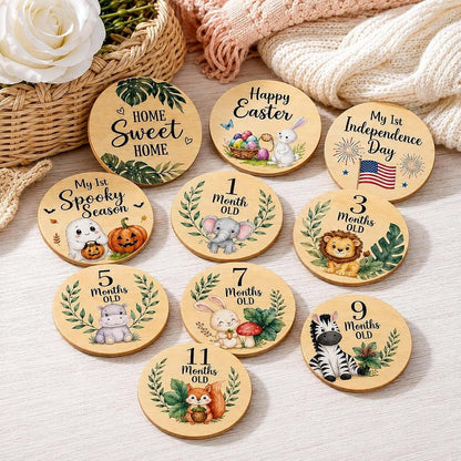 JDAWFWFJ 10-Piece Baby Monthly Milestone Wooden Signs (photo 3)