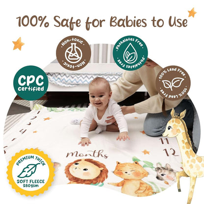 Interwaters Pte Ltd Monthly Milestone Blanket