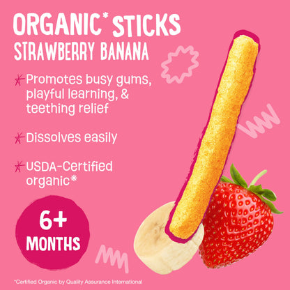 Earth's Best Organic Strawberry Banana Teething Snack