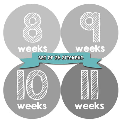 Months In Motion Pregnancy Weekly Belly Growth Stickers For Photo Props