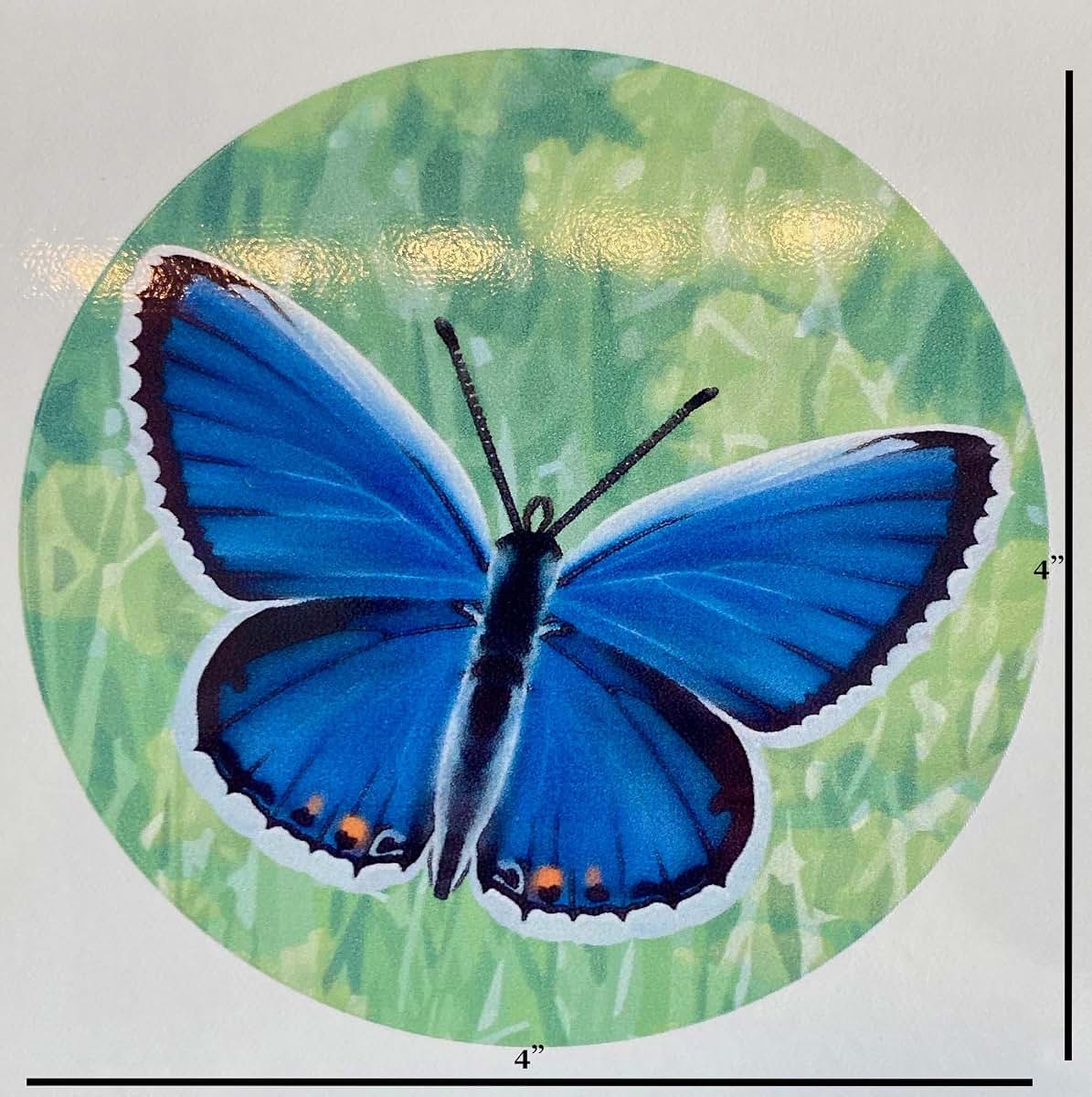 Screen Door Decals for Windows - Butterfly Pattern