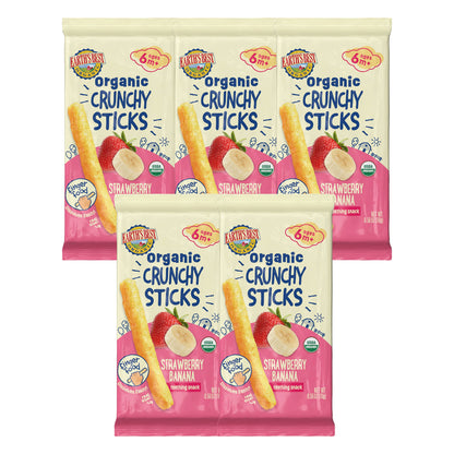 Earth's Best Organic Strawberry Banana Teething Snack