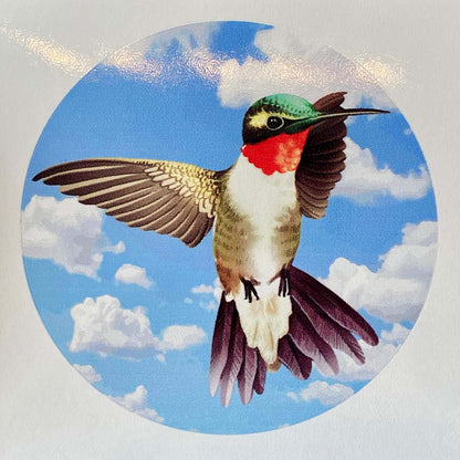 Decorative Hummingbird Screen Door Decals - Window Safety Sticker Set