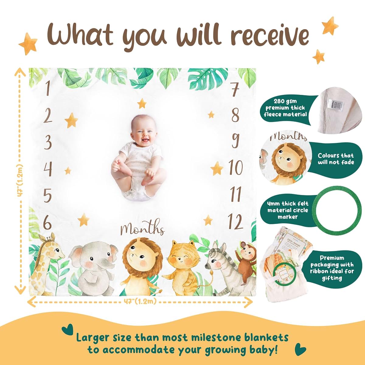 Interwaters Pte Ltd Monthly Milestone Blanket