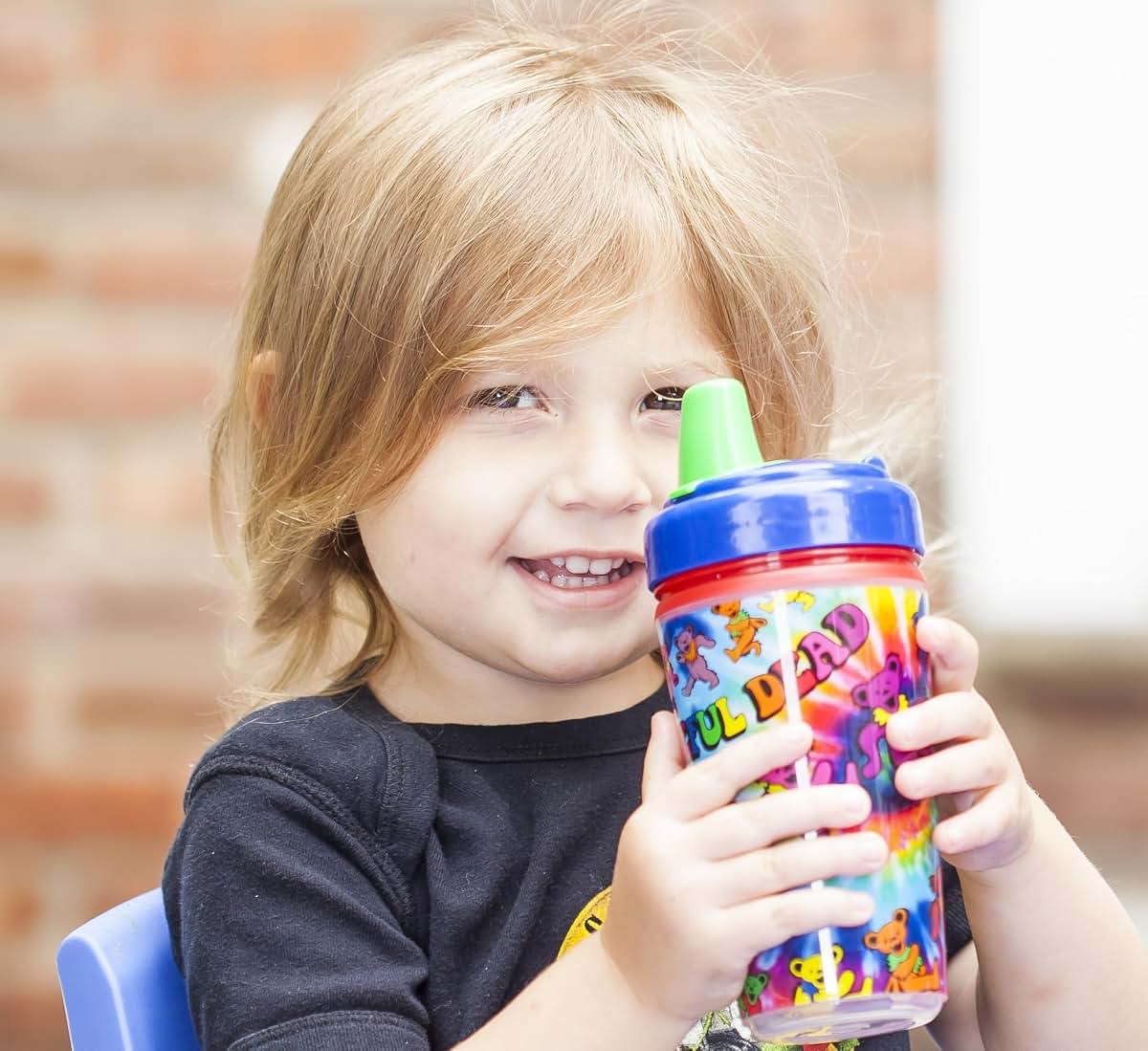 Daphyls Grateful Dead Sippy And Straw Cup Combo