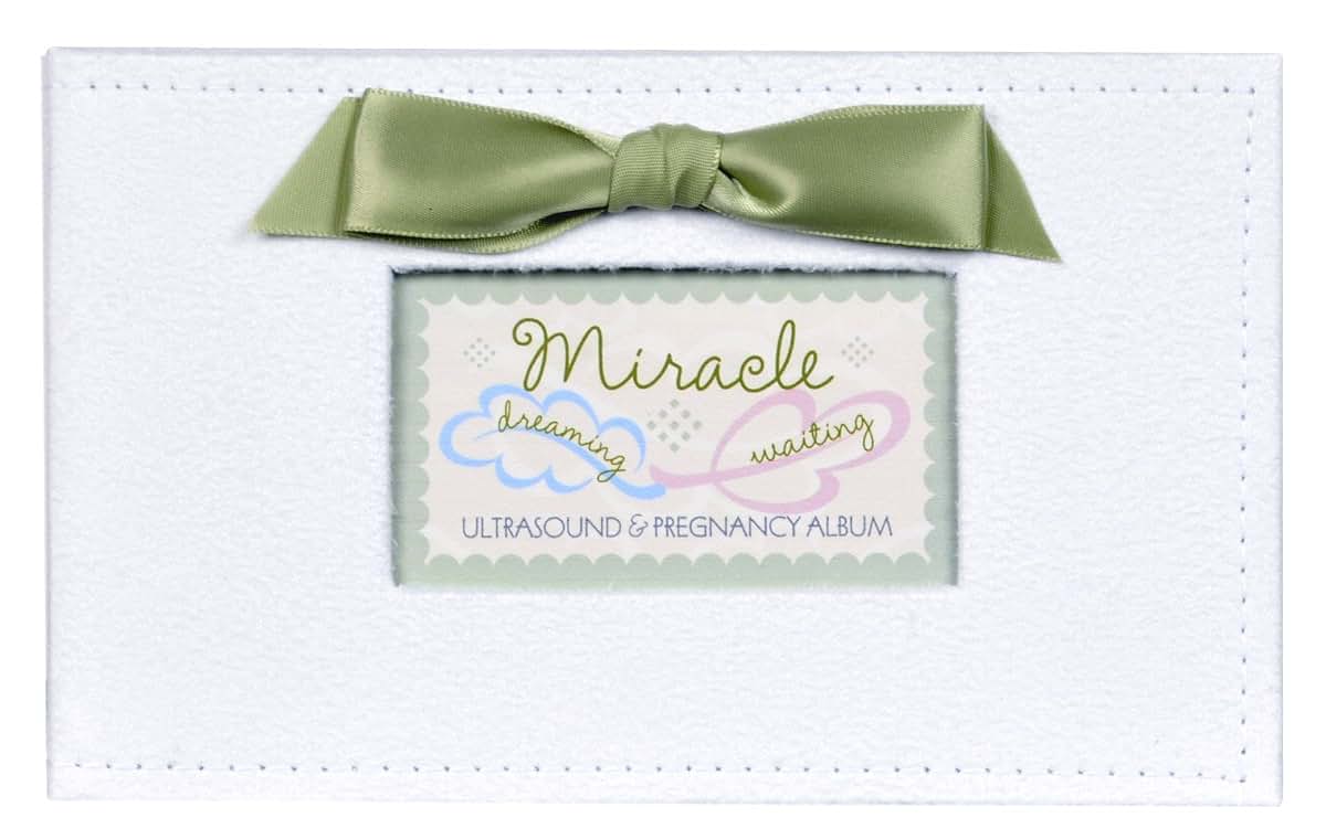 BabyOneStop Pregnancy/Maternity Ultrasound Organizer