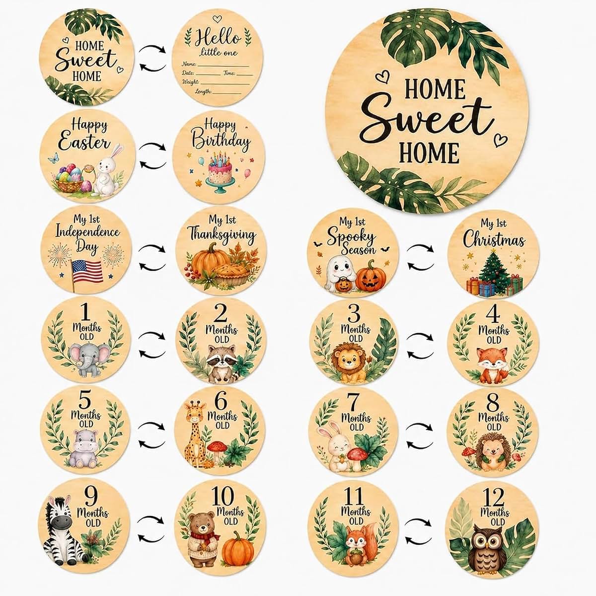 JDAWFWFJ 10-Piece Baby Monthly Milestone Wooden Signs