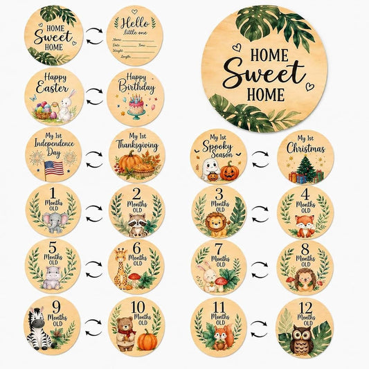 JDAWFWFJ 10-Piece Baby Monthly Milestone Wooden Signs