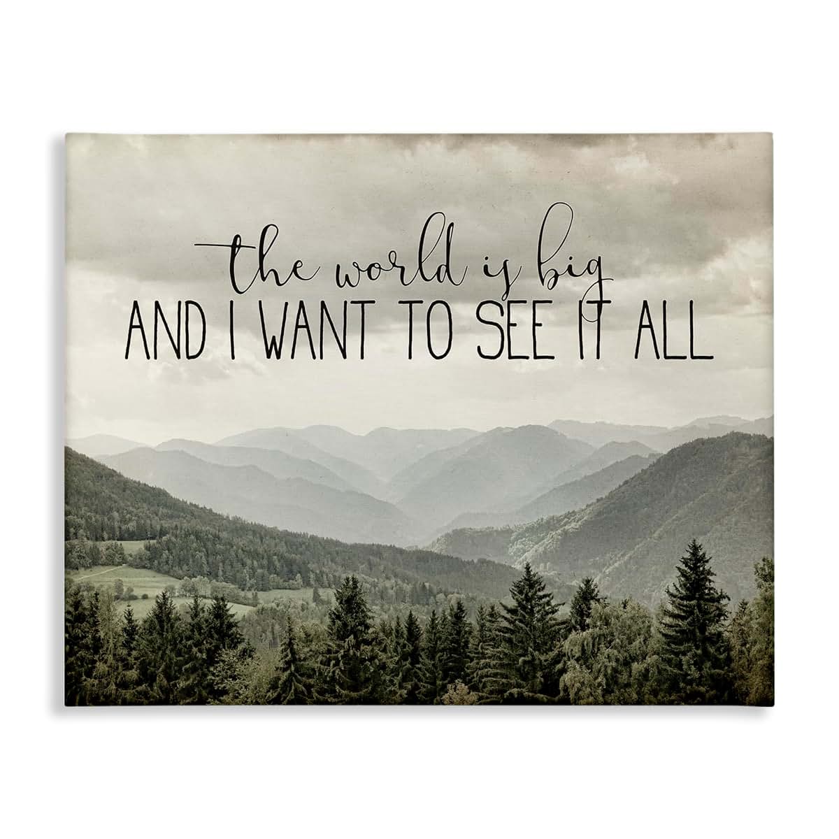Stupell Industries See It All Phrase Forest Tree Mountain Range Canvas Wall Art by Anne Bailey, 20x16 Inches