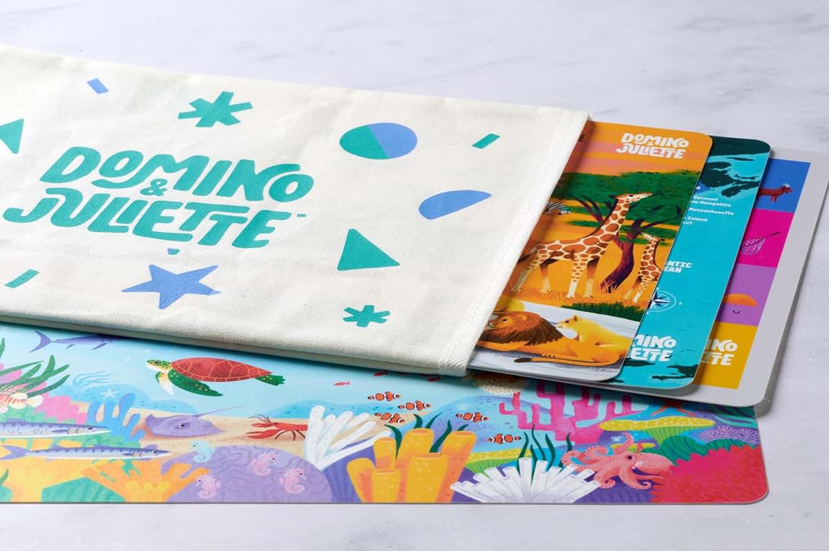 Domino and Juliette Kids Placemats Set of 4 - Educational Toddler Placemat Bundle (photo 2)