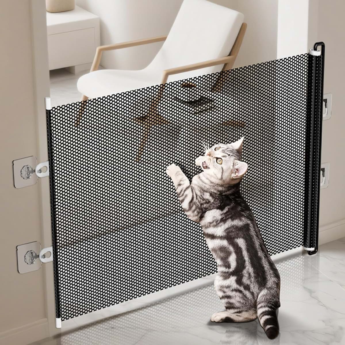 Pet Treatment, Accessory, and Equipment, Everyday Use