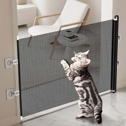 Pet Treatment, Accessory, and Equipment, Everyday Use