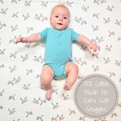 LollyBanks 2-Pack Cotton Muslin Swaddle Blankets for Newborns