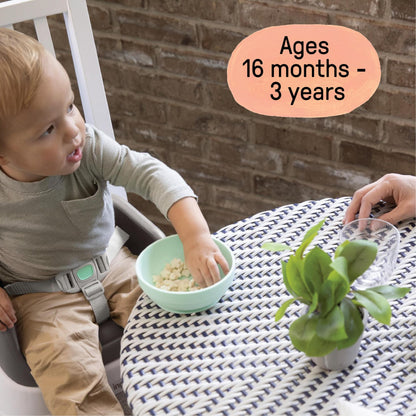Ingenuity SmartClean Toddler Booster Seat