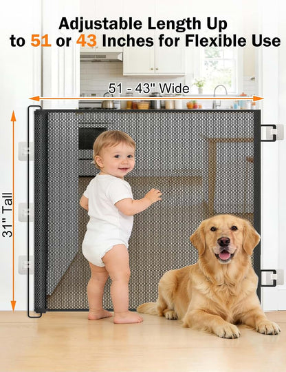 Domestic Pet Treatments, Accessories, and Equipment for Home Use