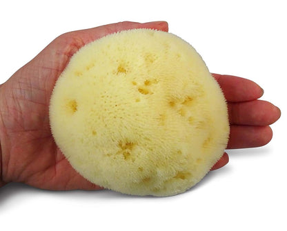 Contented Infant Natural FINA Silk Sea Sponge for Babies, 4-4.5 inch Fine Pore Mediterranean Bath Sponge