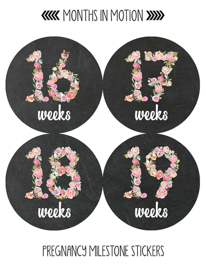 Months In Motion Pregnancy Weekly Belly Growth Stickers - 36 Piece Set (photo 3)