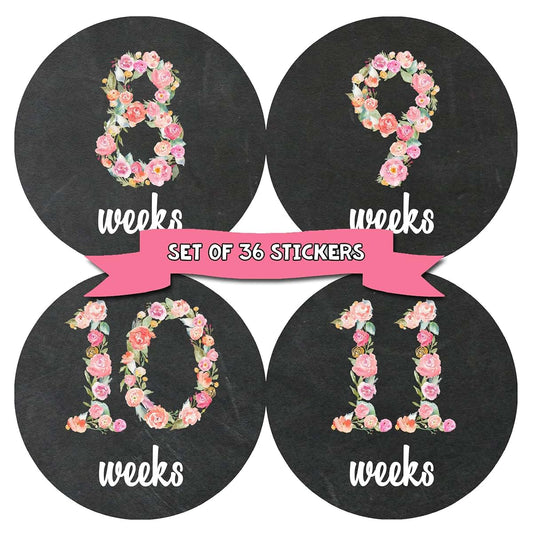 Months In Motion Pregnancy Weekly Belly Growth Stickers - 36 Piece Set