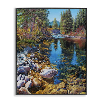 Stoney Creek Forest Landscape Framed Giclée Print | Stupell Industries