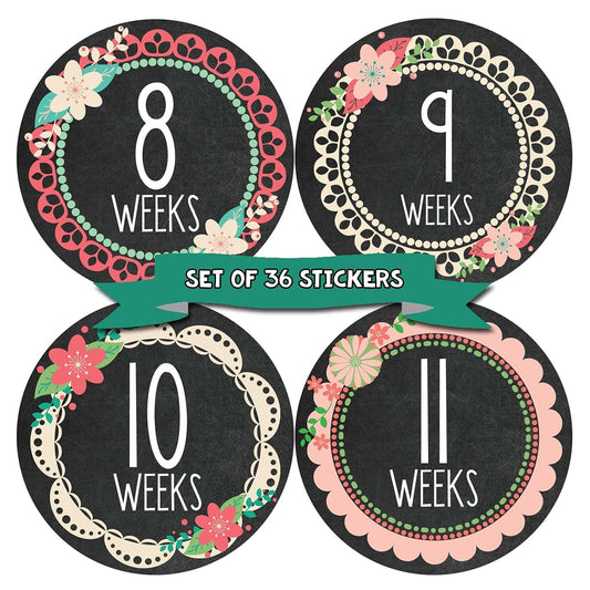 Months In Motion Pregnancy Weekly Belly Growth Stickers - 36 Piece Set