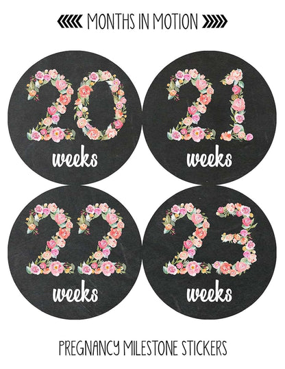 Months In Motion Pregnancy Weekly Belly Growth Stickers - 36 Piece Set (photo 4)
