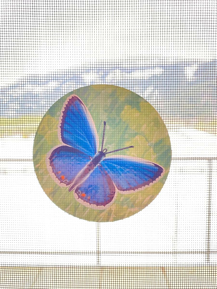 Screen Door Decals for Windows - Butterfly Pattern