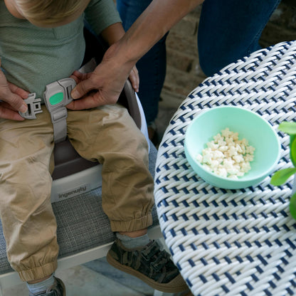 Ingenuity SmartClean Toddler Booster Seat
