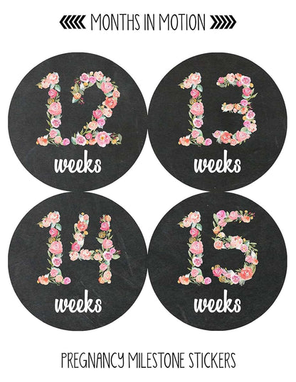 Months In Motion Pregnancy Weekly Belly Growth Stickers - 36 Piece Set (photo 2)