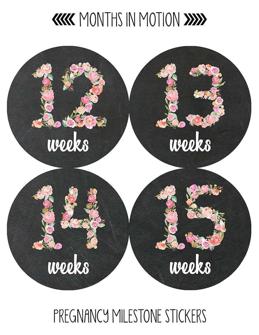 Months In Motion Pregnancy Weekly Belly Growth Stickers - 36 Piece Set (photo 2)