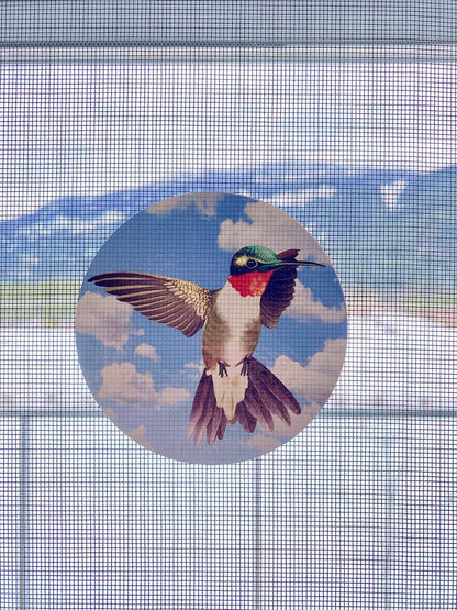 Decorative Hummingbird Screen Door Decals - Window Safety Sticker Set