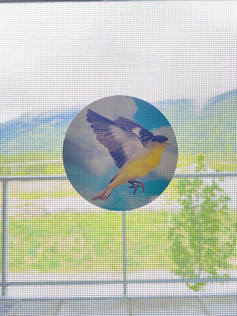 BabyOneStop Retractable Screen Door Decals, Bird Design, 6 Pack
