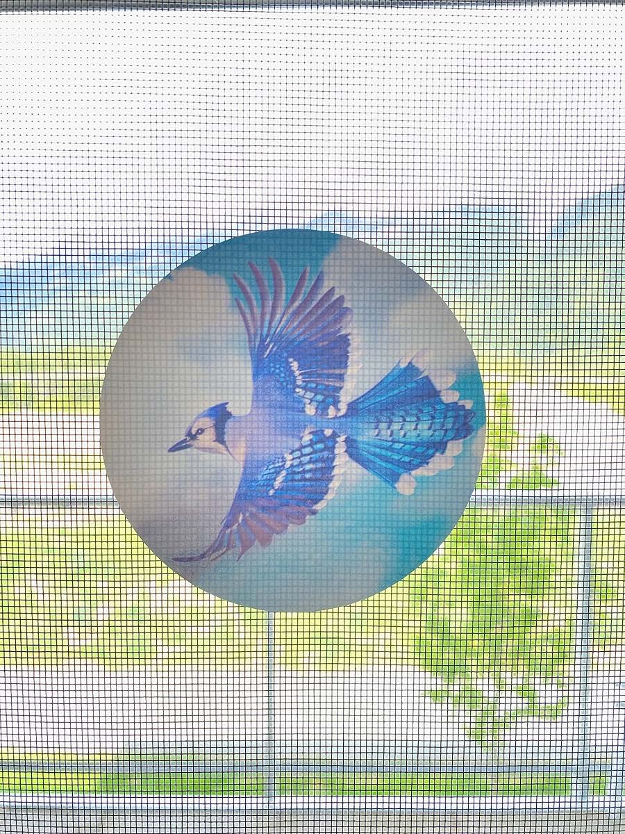 BabyOneStop Retractable Screen Door Decals, Bird Design, 6 Pack